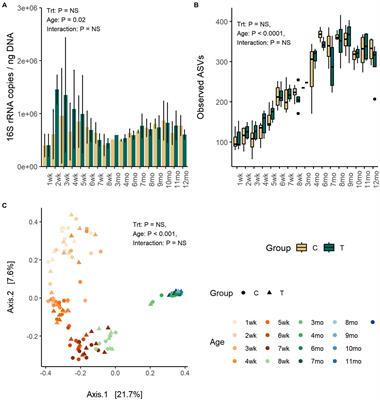 Fecal microbiota colonization dynamics in dairy heifers associated with early-life rumen microbiota modulation and gut health